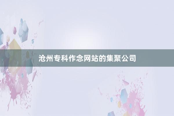 沧州专科作念网站的集聚公司