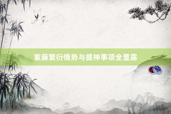 紫藤繁衍情势与提神事项全显露